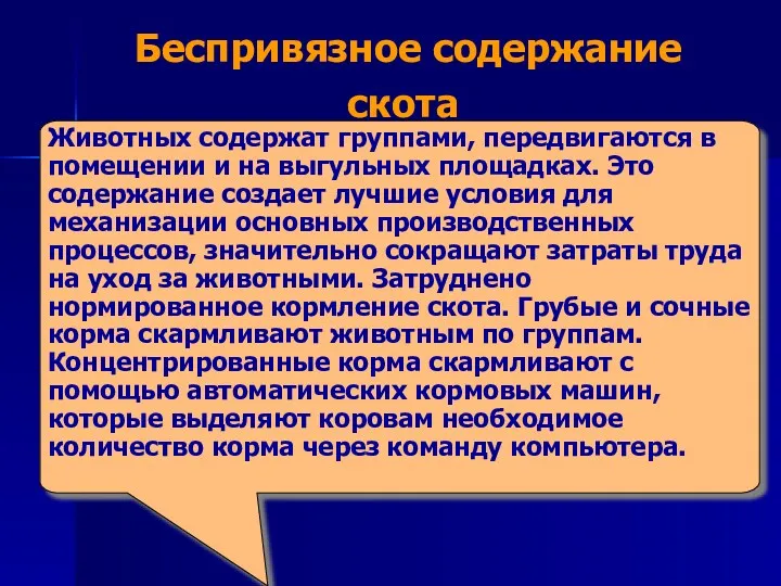 Беспривязное содержание скота Животных содержат группами, передвигаются в помещении и