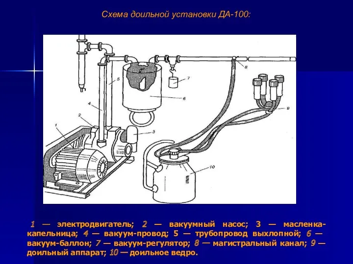 Схема доильной установки ДА-100: