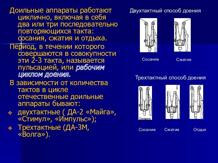 Доильные аппараты работают циклично, включая в себя два или три