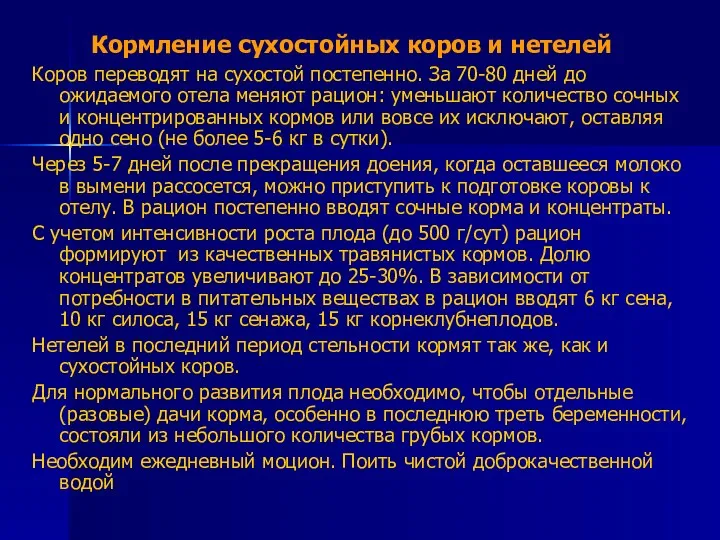 Кормление сухостойных коров и нетелей Коров переводят на сухостой постепенно.