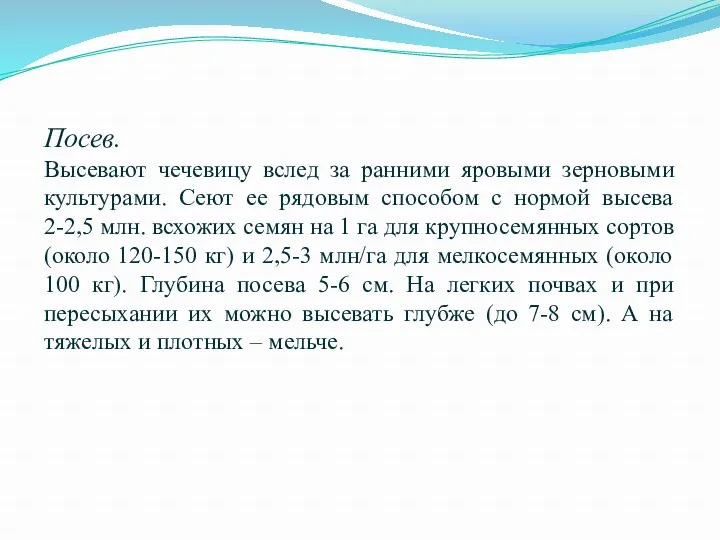 Посев. Высевают чечевицу вслед за ранними яровыми зерновыми культурами. Сеют