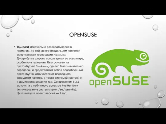 OPENSUSE OpenSUSE изначально разрабатывался в германии, но сейчас его владельцем является американская корпорация