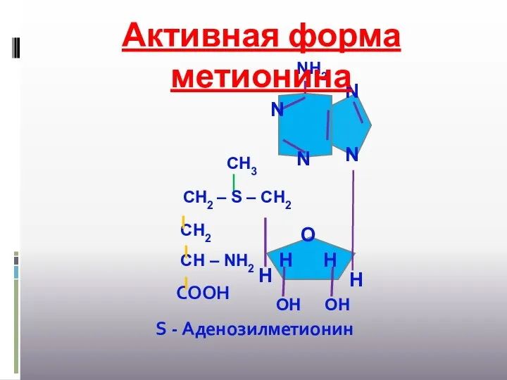 Активная форма метионина