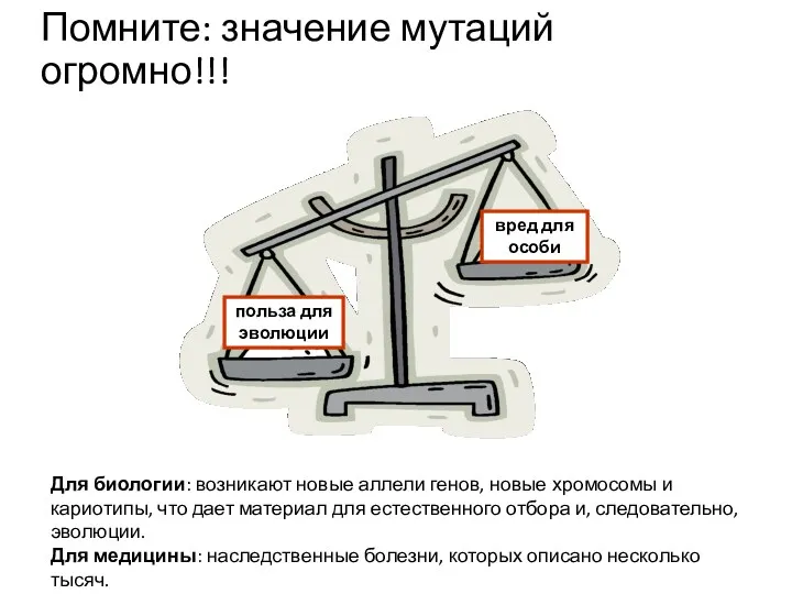 Помните: значение мутаций огромно!!! польза для эволюции вред для особи