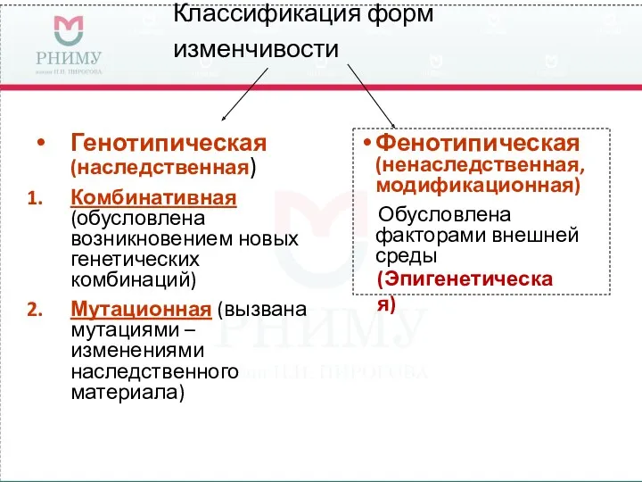 Классификация форм изменчивости Генотипическая (наследственная) Комбинативная (обусловлена возникновением новых генетических