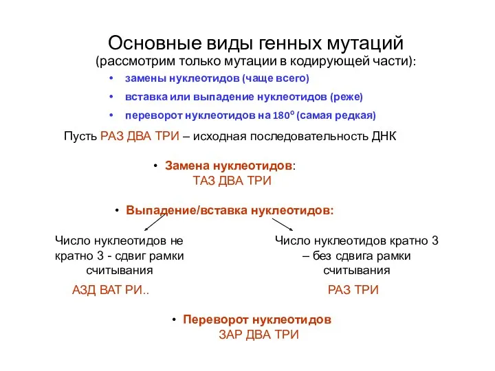 Основные виды генных мутаций (рассмотрим только мутации в кодирующей части):