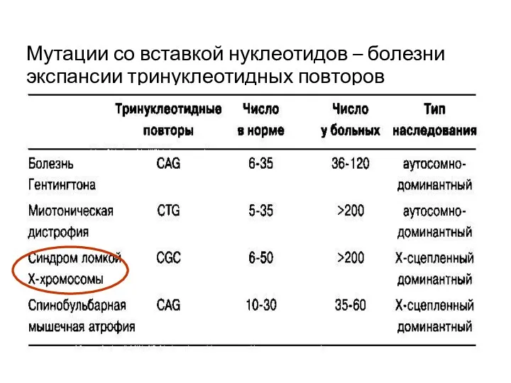 Мутации со вставкой нуклеотидов – болезни экспансии тринуклеотидных повторов