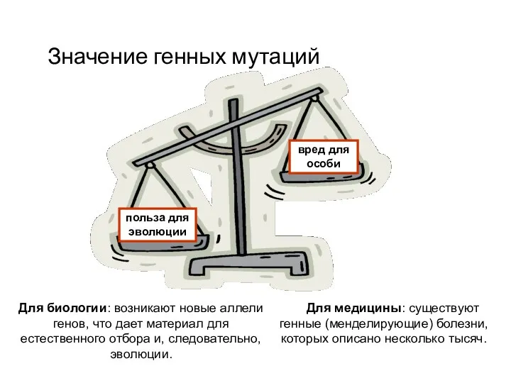 Значение генных мутаций польза для эволюции вред для особи