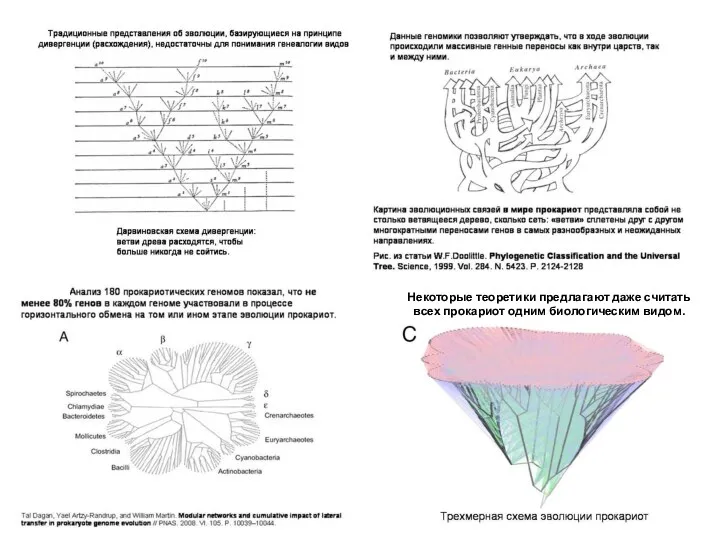 Некоторые теоретики предлагают даже считать всех прокариот одним биологическим видом.