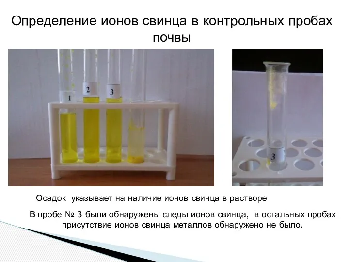 В пробе № 3 были обнаружены следы ионов свинца, в