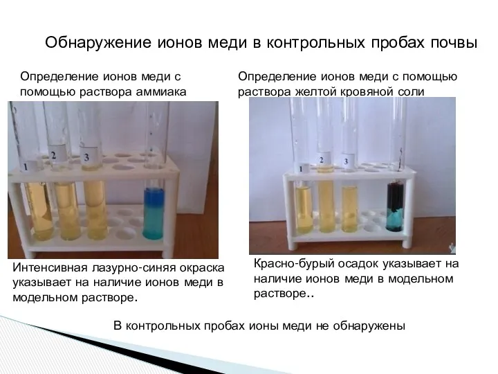 Обнаружение ионов меди в контрольных пробах почвы Интенсивная лазурно-синяя окраска
