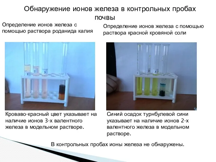 Обнаружение ионов железа в контрольных пробах почвы Кроваво-красный цвет указывает