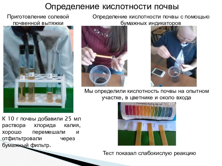 Определение кислотности почвы Мы определили кислотность почвы на опытном участке,