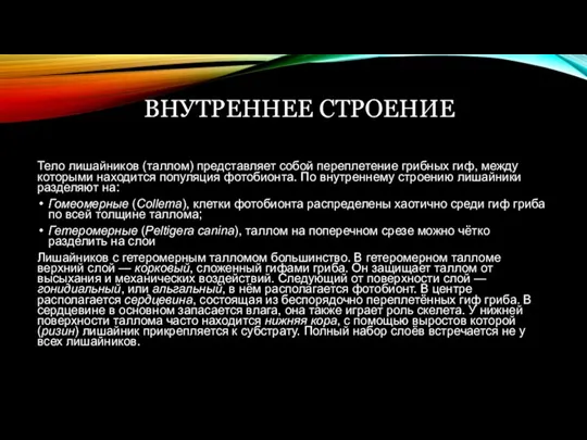 ВНУТРЕННЕЕ СТРОЕНИЕ Тело лишайников (таллом) представляет собой переплетение грибных гиф,