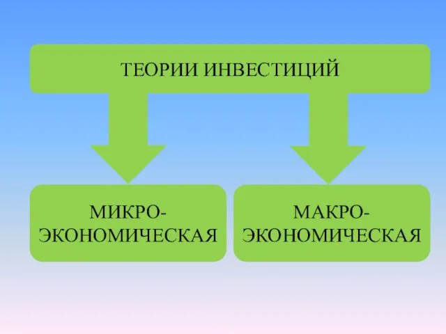 ТЕОРИИ ИНВЕСТИЦИЙ МИКРО-ЭКОНОМИЧЕСКАЯ МАКРО-ЭКОНОМИЧЕСКАЯ