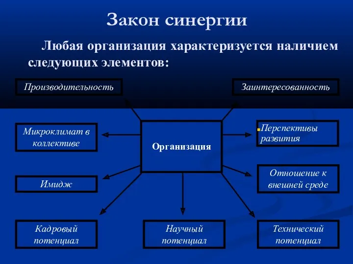 Закон синергии Организация Перспективы развития Научный потенциал Кадровый потенциал Технический