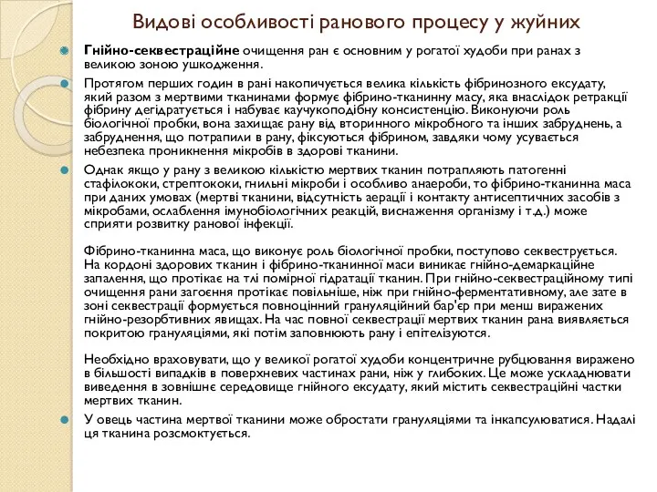 Видові особливості ранового процесу у жуйних Гнійно-секвестраційне очищення ран є