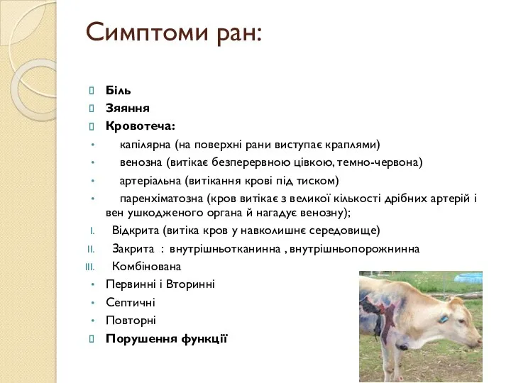 Симптоми ран: Біль Зяяння Кровотеча: капілярна (на поверхні рани виступає