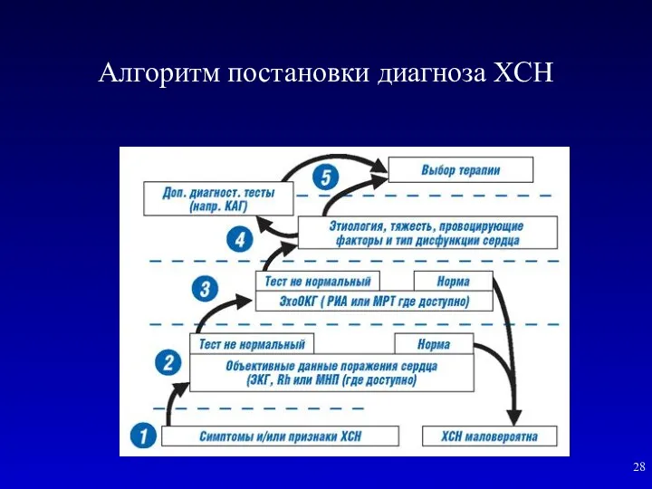 Алгоритм постановки диагноза ХСН