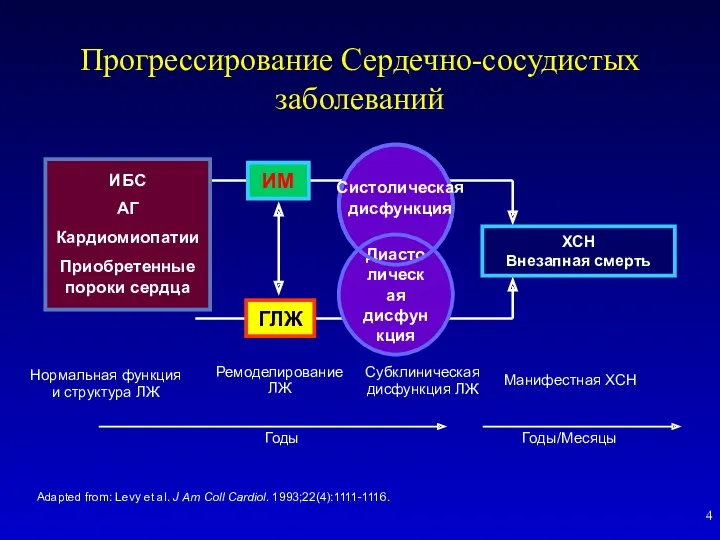 Прогрессирование Сердечно-сосудистых заболеваний Adapted from: Levy et al. J Am