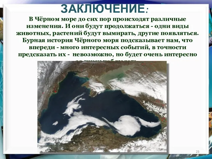 ЗАКЛЮЧЕНИЕ: В Чёрном море до сих пор происходят различные изменения.