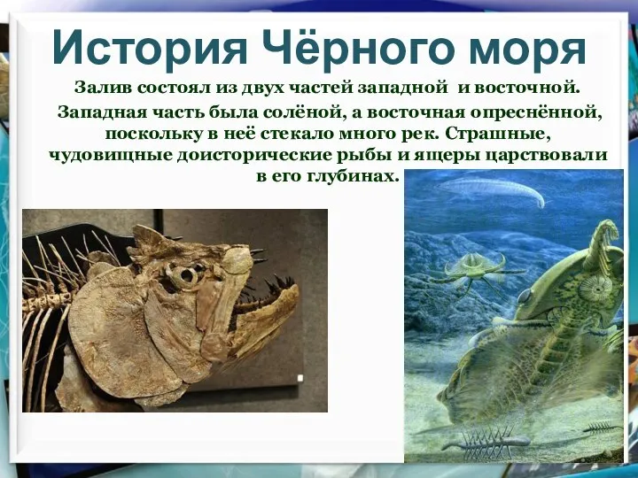 История Чёрного моря Залив состоял из двух частей западной и