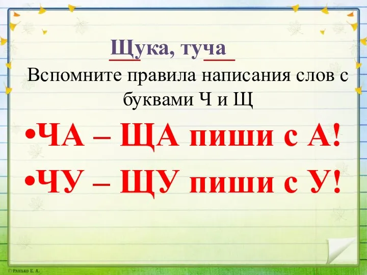 Вспомните правила написания слов с буквами Ч и Щ ЧА