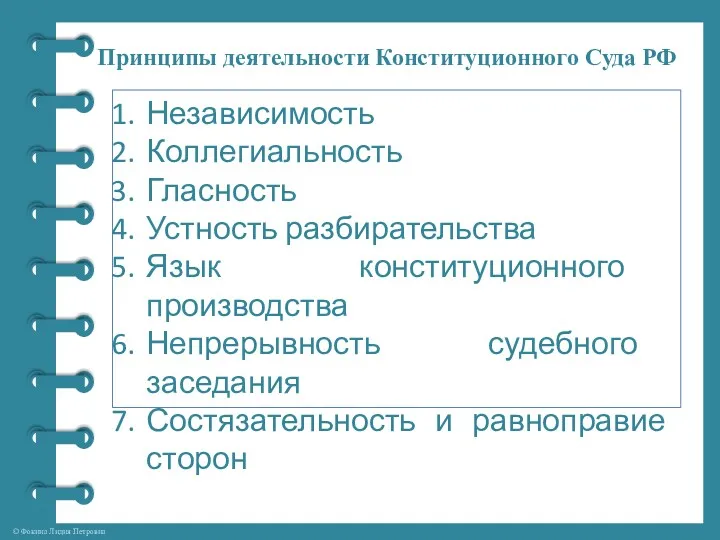 Принципы деятельности Конституционного Суда РФ