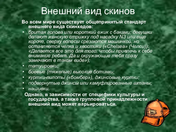 Внешний вид скинов Во всем мире существует общепринятый стандарт внешнего