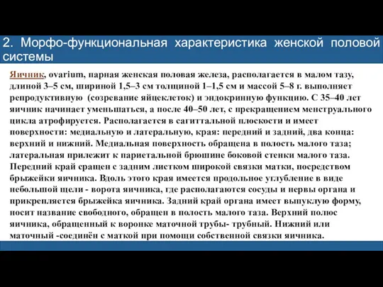 2. Морфо-функциональная характеристика женской половой системы Яичник, ovarium, парная женская