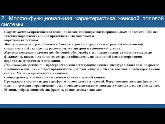 2. Морфо-функциональная характеристика женской половой системы Строма яичника представлена белочной