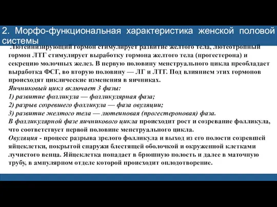 2. Морфо-функциональная характеристика женской половой системы Лютеинизирующий гормон стимулирует развитие