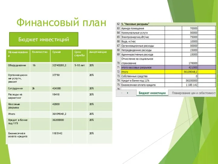 Финансовый план Бюджет инвестиций