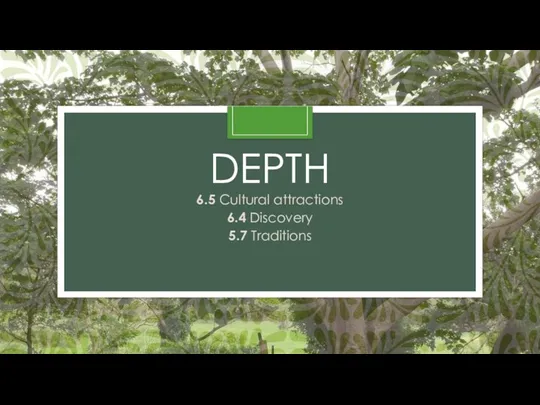 DEPTH 6.5 Cultural attractions 6.4 Discovery 5.7 Traditions