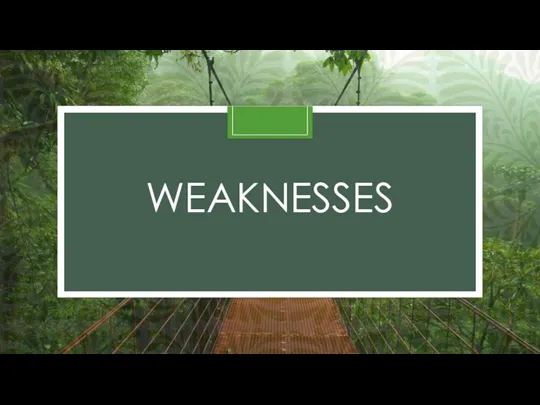 WEAKNESSES