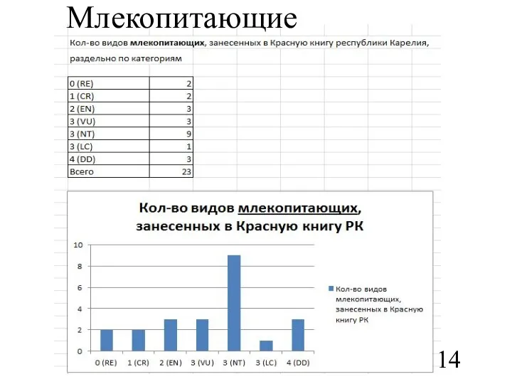 Млекопитающие