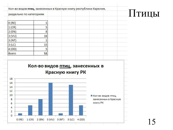 Птицы