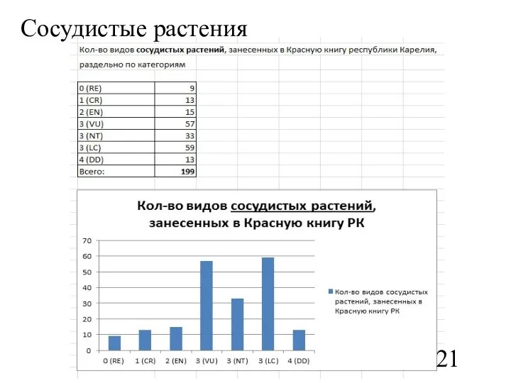 Сосудистые растения