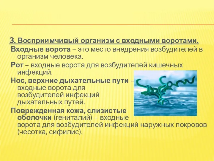 3. Восприимчивый организм с входными воротами. Входные ворота – это место внедрения возбудителей