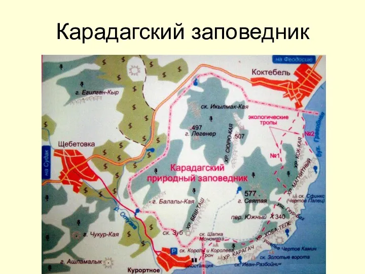 Карадагский заповедник