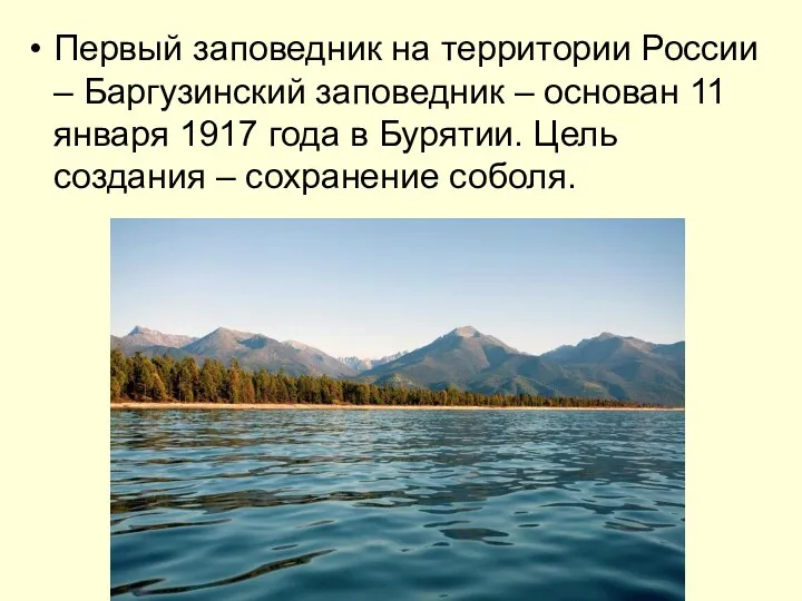 Первый заповедник на территории России – Баргузинский заповедник – основан