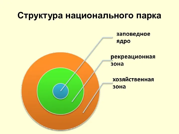 Структура национального парка