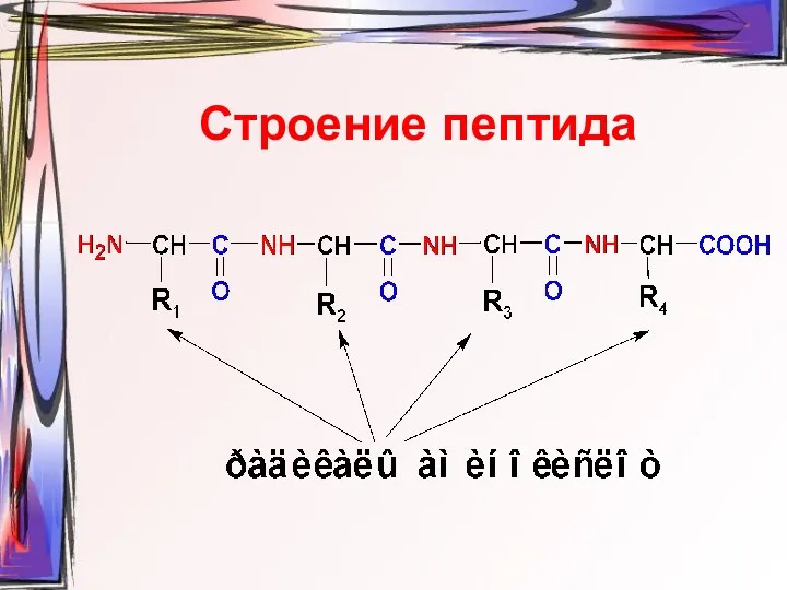 Строение пептида