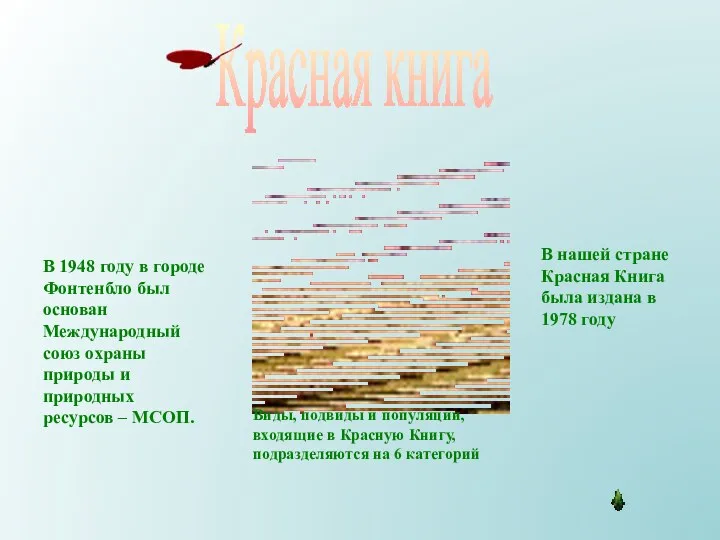 Красная книга В 1948 году в городе Фонтенбло был основан Международный союз охраны