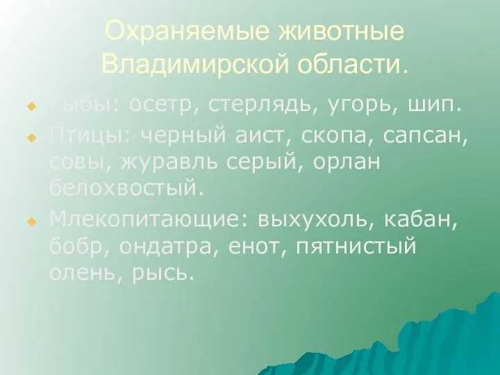 Охраняемые животные Владимирской области. Рыбы: осетр, стерлядь, угорь, шип. Птицы: