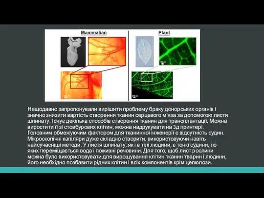 Нещодавно запропонували вирішити проблему браку донорських органів і значно знизити