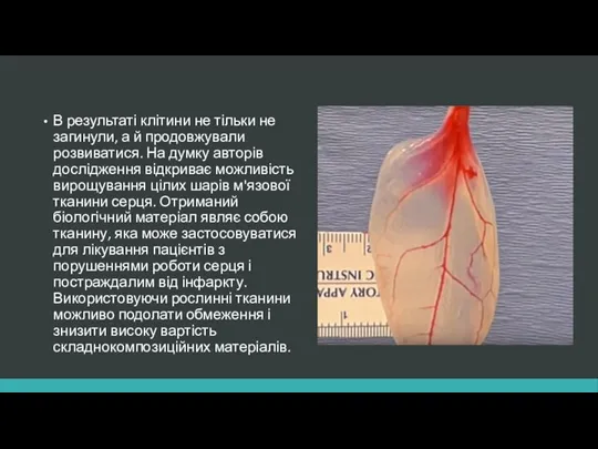 В результаті клітини не тільки не загинули, а й продовжували