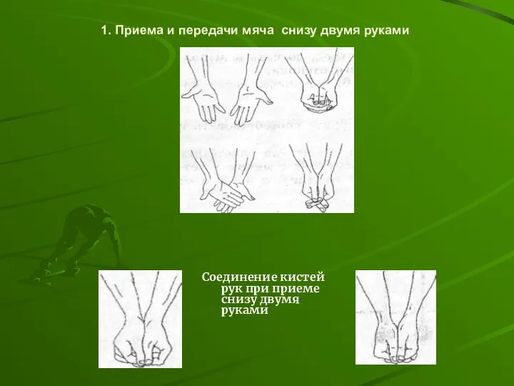 1. Приема и передачи мяча снизу двумя руками Соединение кистей рук при приеме снизу двумя руками