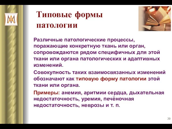 Типовые формы патологии Различные патологические процессы, поражающие конкретную ткань или орган, сопровождаются рядом