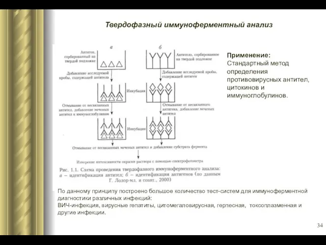 Твердофазный иммуноферментный анализ Применение: Стандартный метод определения противовирусных антител, цитокинов